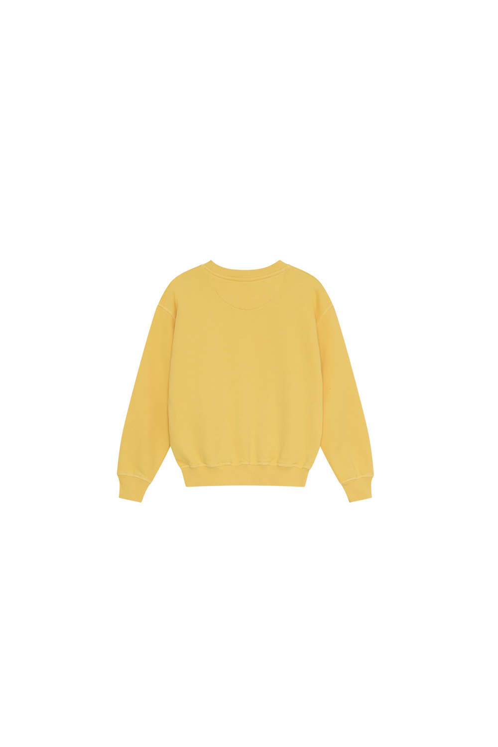 MACA SWEATSHIRT MIMOSA YELLOW