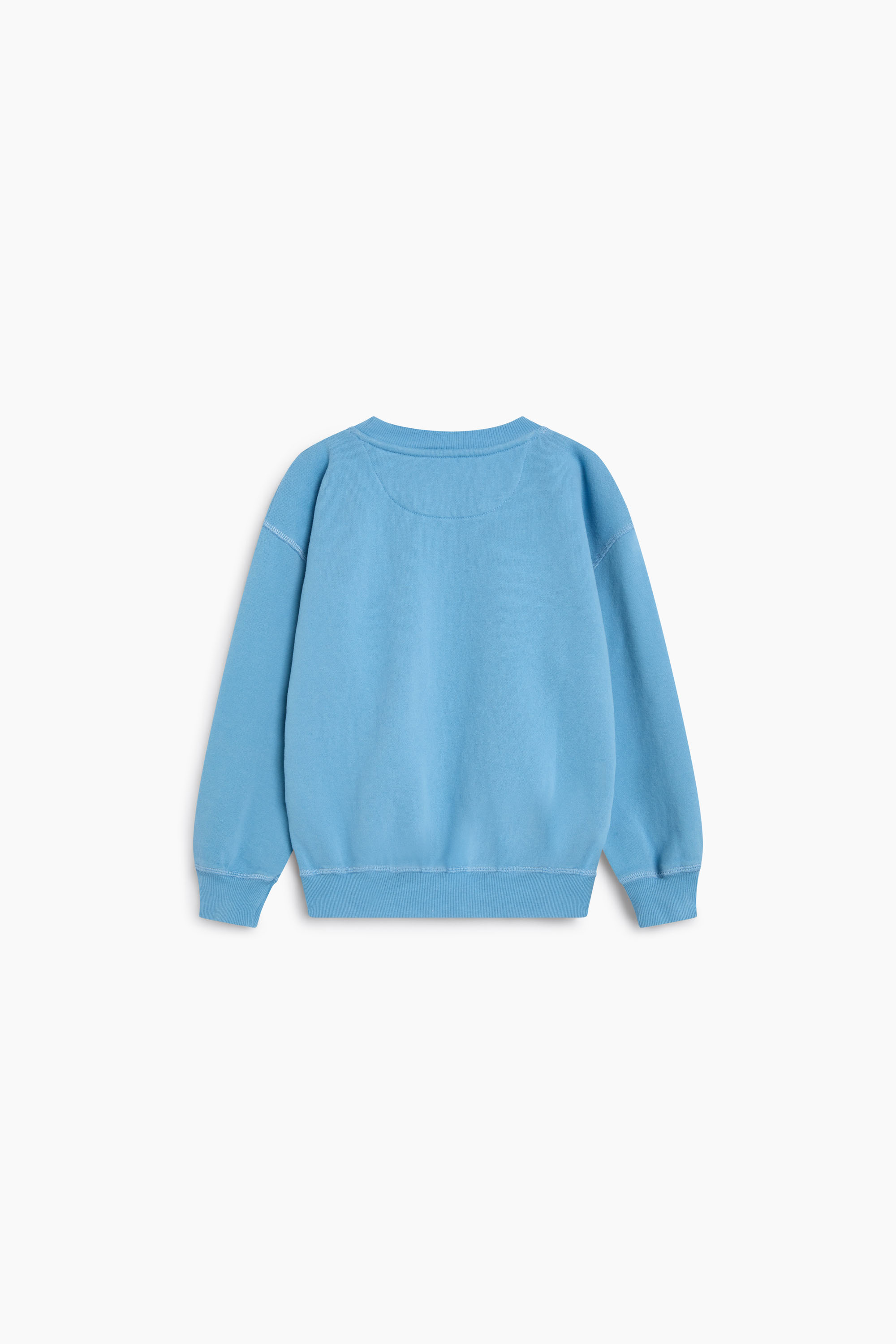 TNS LOGO SWEATSHIRT CYANEUS